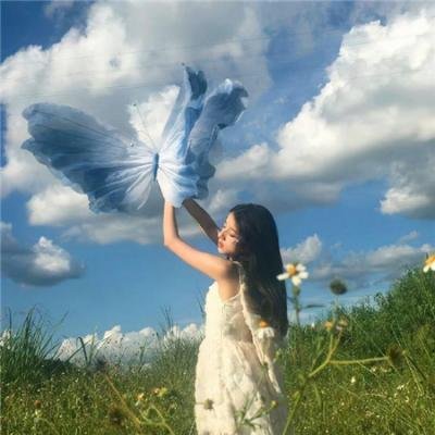 播种的旅人 ～农之茶～